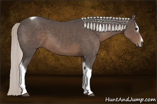 Horse Color:Silver Black Sabino Tobiano