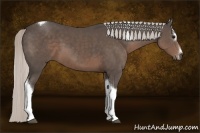 Horse Color:Silver Black Sabino Tobiano