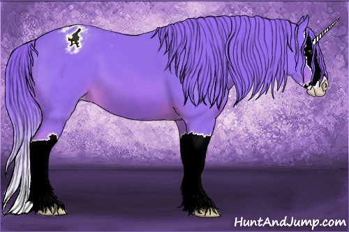 Horse Color:Watercolor Chestnut Sabino Splash Appaloosa 