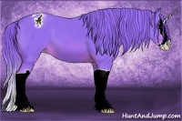 Horse Color:Watercolor Chestnut Sabino Splash Appaloosa 