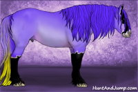 Horse Color:Gray Watercolor Bay Sabino Splash