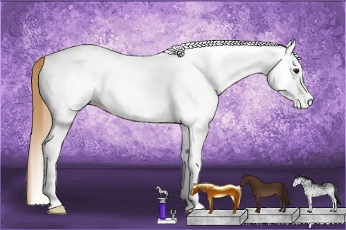 Horse Color:White Spotted Red Dun 
