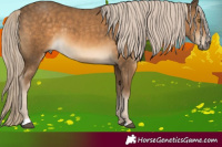 Horse Color:Chocolate Palomino Sabino 