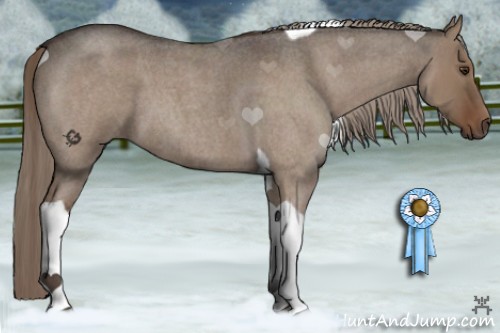 Horse Color:Liver Red Dun Roan Tobiano 