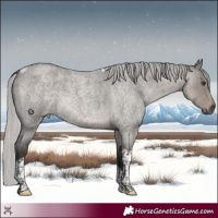 Horse Color:Platinum Silver Smoky Grullo Roan Tobiano 