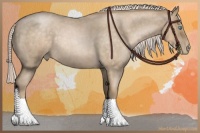 Horse Color:Chocolate Palomino Roan Pearl 