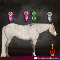 Horse Color:Silver Smoky Grullo Roan Sabino Rabicano
