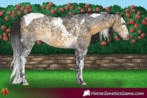 Horse Color:Buckskin Ice Splash Tobiano