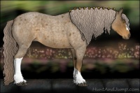 Horse Color:Chocolate Palomino Roan 