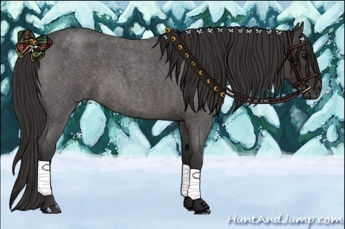 Horse Color:Smoky Blue Roan 