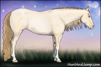 Horse Color:Buckskin Roan Pearl Rabicano and Buckskin Roan Pearl Rabicano