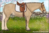 Horse Color:Palomino Roan 
