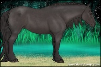 Horse Color:Smoky Blue Roan Sabino 