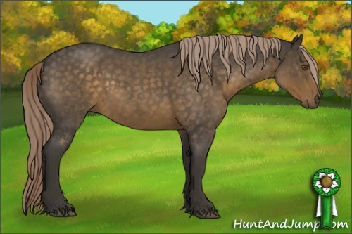 Horse Color:Chocolate Palomino Roan 