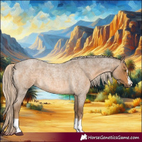 Horse Color:Chocolate Palomino Roan 