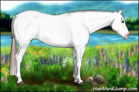 Horse Color:Brown Appaloosa 