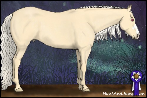 Horse Color:Palomino Chinchilla Roan 