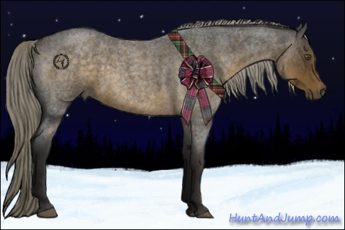 Horse Color:Chocolate Palomino Roan