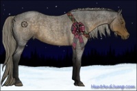 Horse Color:Chocolate Palomino Roan
