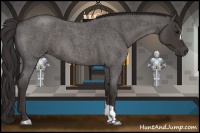 Horse Color:Smoky Blue Roan 