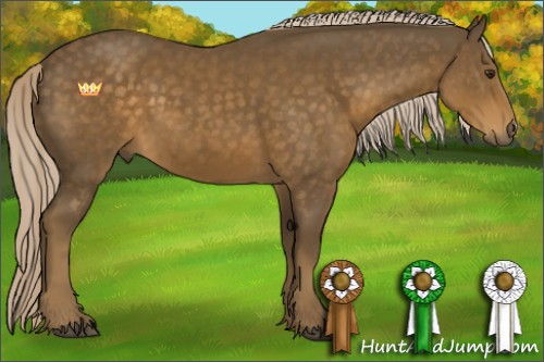 Horse Color:Chocolate Palomino