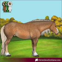 Horse Color:Chocolate Palomino