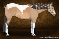 Horse Color:Buckskin Tobiano