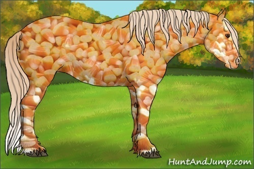 Horse Color:Palomino Roan Splash 