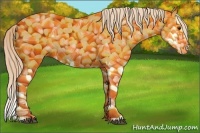 Horse Color:Palomino Roan Splash 