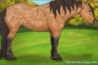 Horse Color:Buckskin Ice Roan 