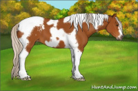 Horse Color:Gray Silver Bay Tobiano Frame Varnish 