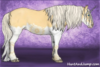 Horse Color:Palomino Roan Splash 