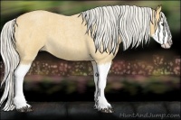 Horse Color:Silver Buckskin Roan Splash 