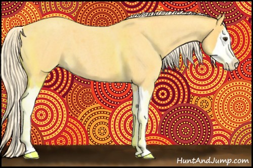 Horse Color:Palomino Roan Splash 