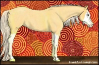 Horse Color:Palomino Roan Splash 
