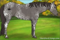 Horse Color:Smoky Black Ice 
