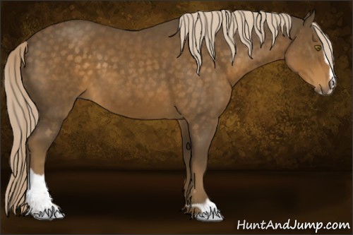 Horse Color:Chocolate Palomino Sabino 