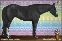 Horse Color:Black  and Gray Black 