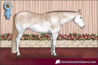 Horse Color:White Spotted Grullo Pearl Splash  and White Spotted Black Pearl Splash 