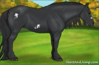 Horse Color:Black  and Black Frame 