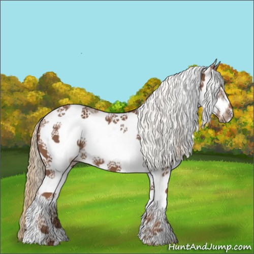 Horse Color:White Spotted Chestnut Frame