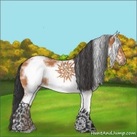Horse Color:White Spotted Bay Frame