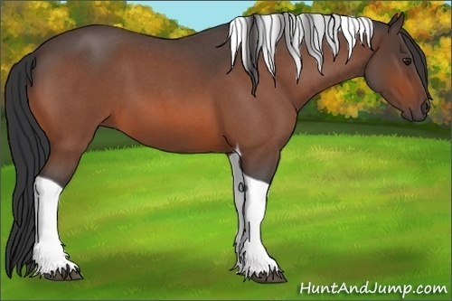 Horse Color:Bay Roan Tobiano 