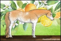 Horse Color:Watercolor White Spotted Liver Chestnut 