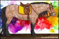 Horse Color:Bay Roan 