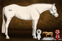 Horse Color:Perlino 