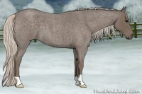 Horse Color:Silver Blue Roan 