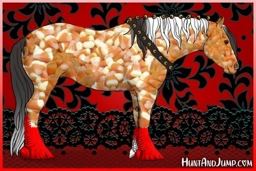 Horse Color:Bay Tobiano 