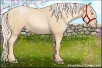 Horse Color:Palomino Pearl 