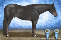 Horse Color:Platinum Liver Chestnut 